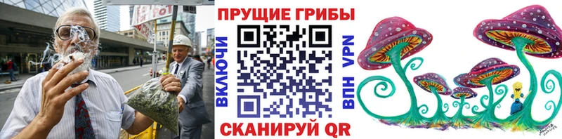 Псилоцибиновые грибы MAGIC MUSHROOMS  купить наркотики сайты  Михайлов 