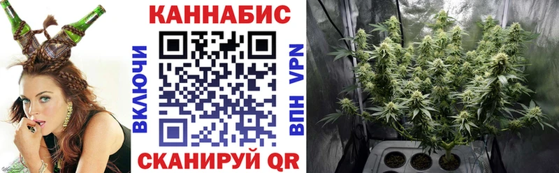 Бошки Шишки ГИДРОПОН Михайлов